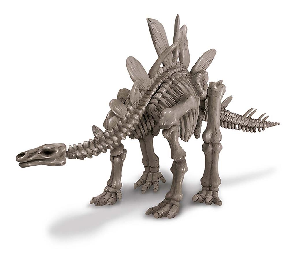 Graaf Je Dino Op - Stegosaurus, 4M