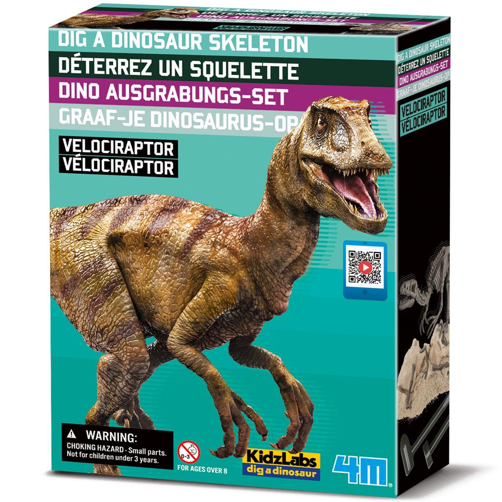 Graaf Je Dino Op - Velociraptor, 4M