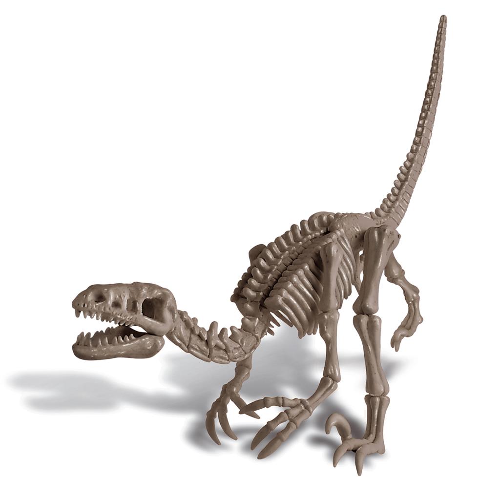 Graaf Je Dino Op - Velociraptor, 4M