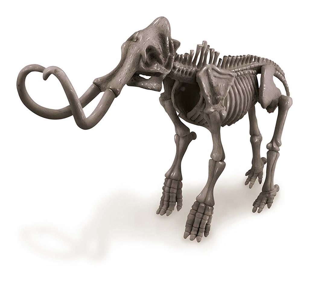 Graaf Je Dino Op - Mammoet, 4M