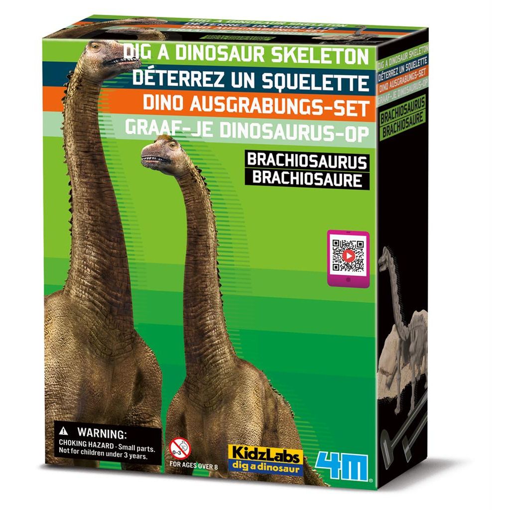 Graaf Je Dino Op - Brachiosaurus, 4M