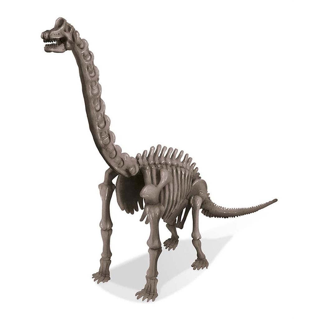 Graaf Je Dino Op - Brachiosaurus, 4M