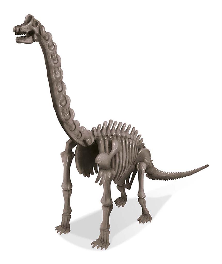 Graaf Je Dino Op - Brachiosaurus, 4M