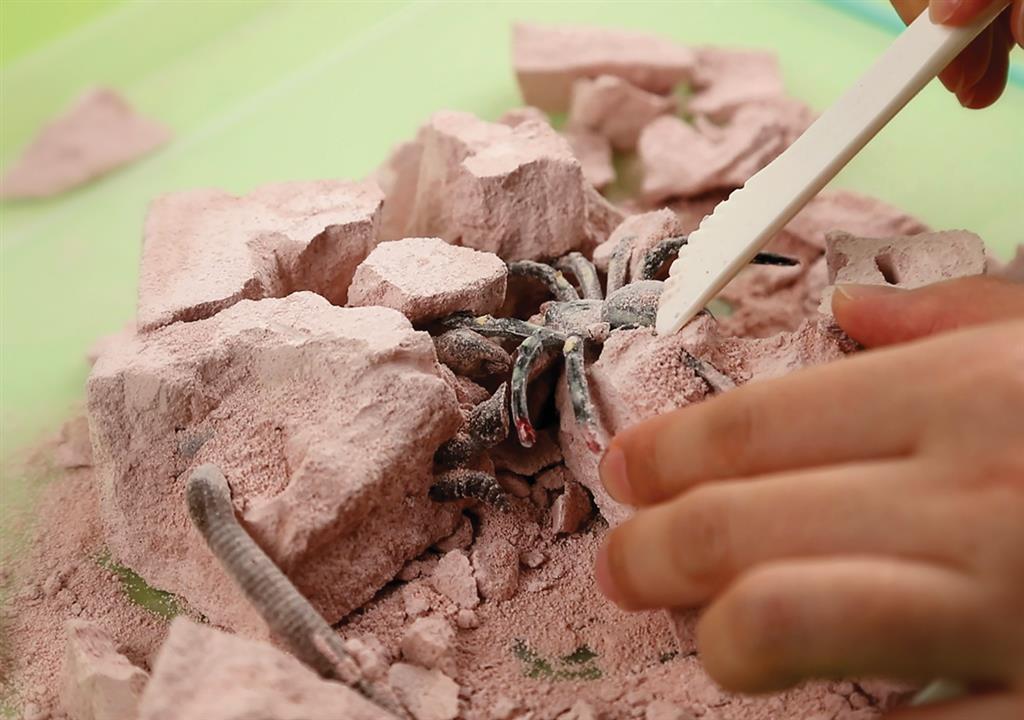 Opgraafkit Insecten, 4M