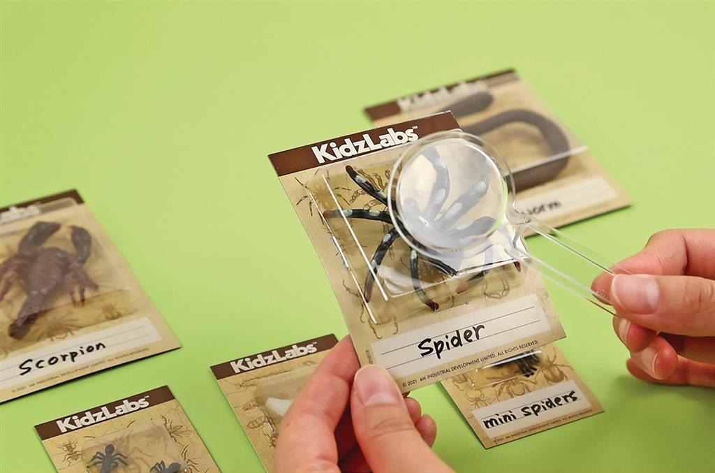 Opgraafkit Insecten, 4M
