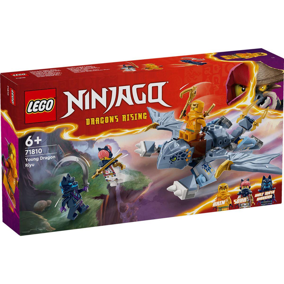 LEGO Ninjago Jonge draak Riyu