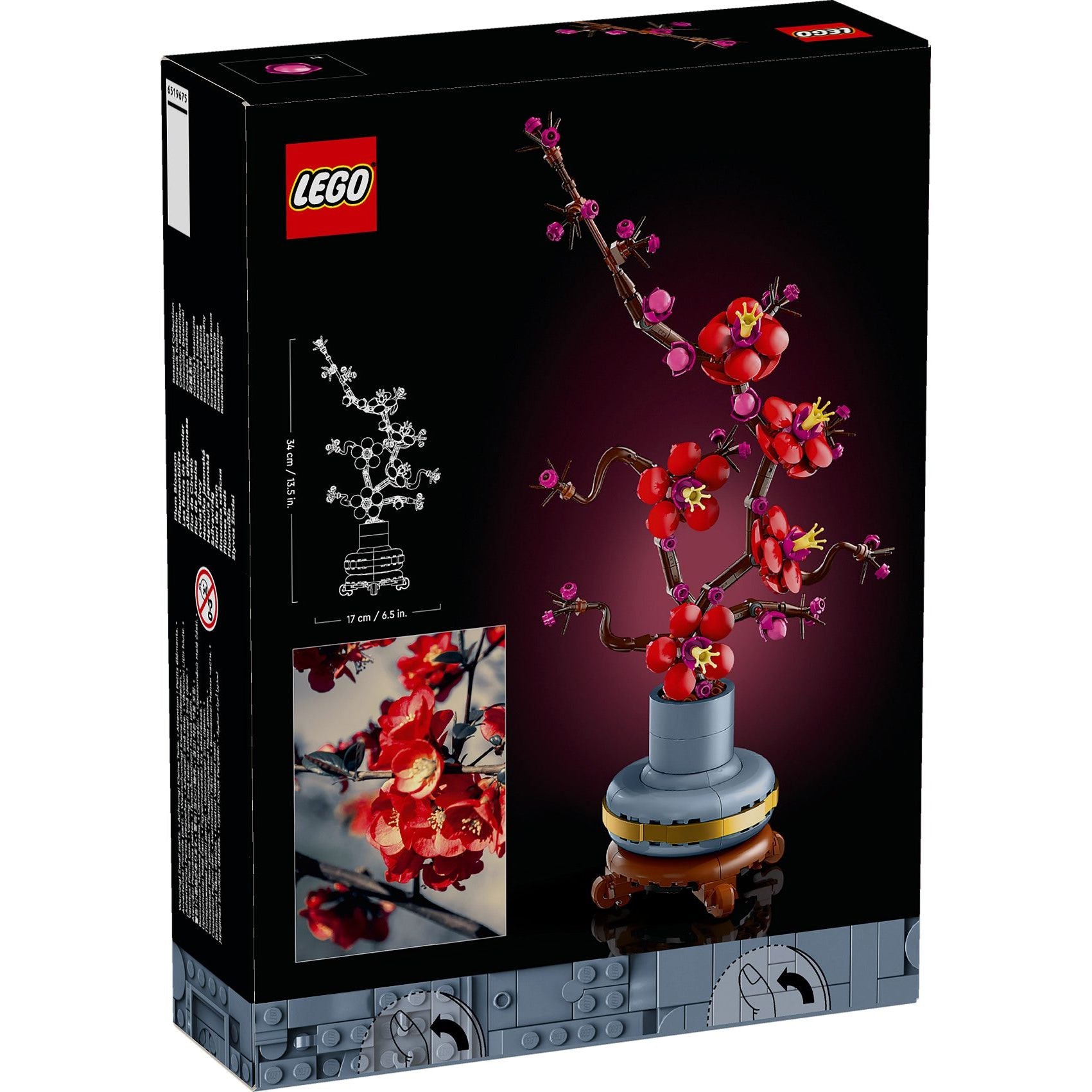 LEGO ICONS Japanse abrikoos