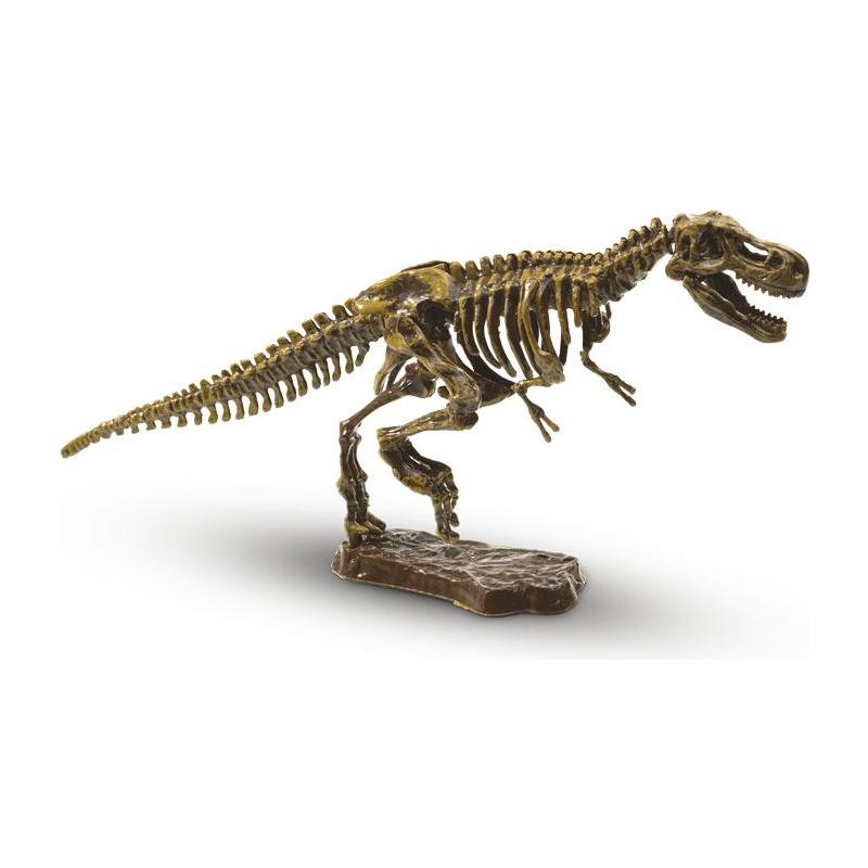 T-rex opgraven, SES