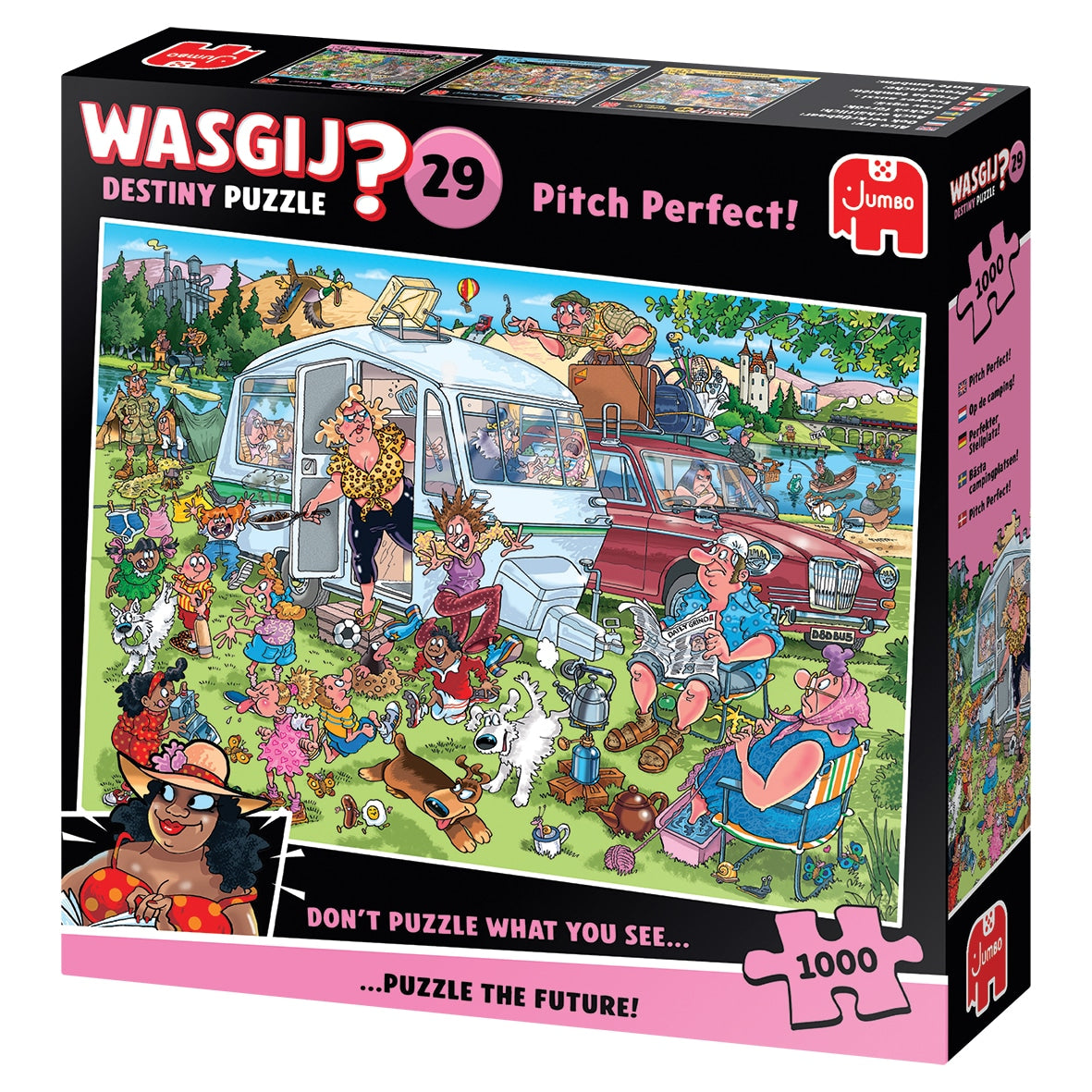 Wasgij Destiny 29 - Op de Camping (1000), Jumbo