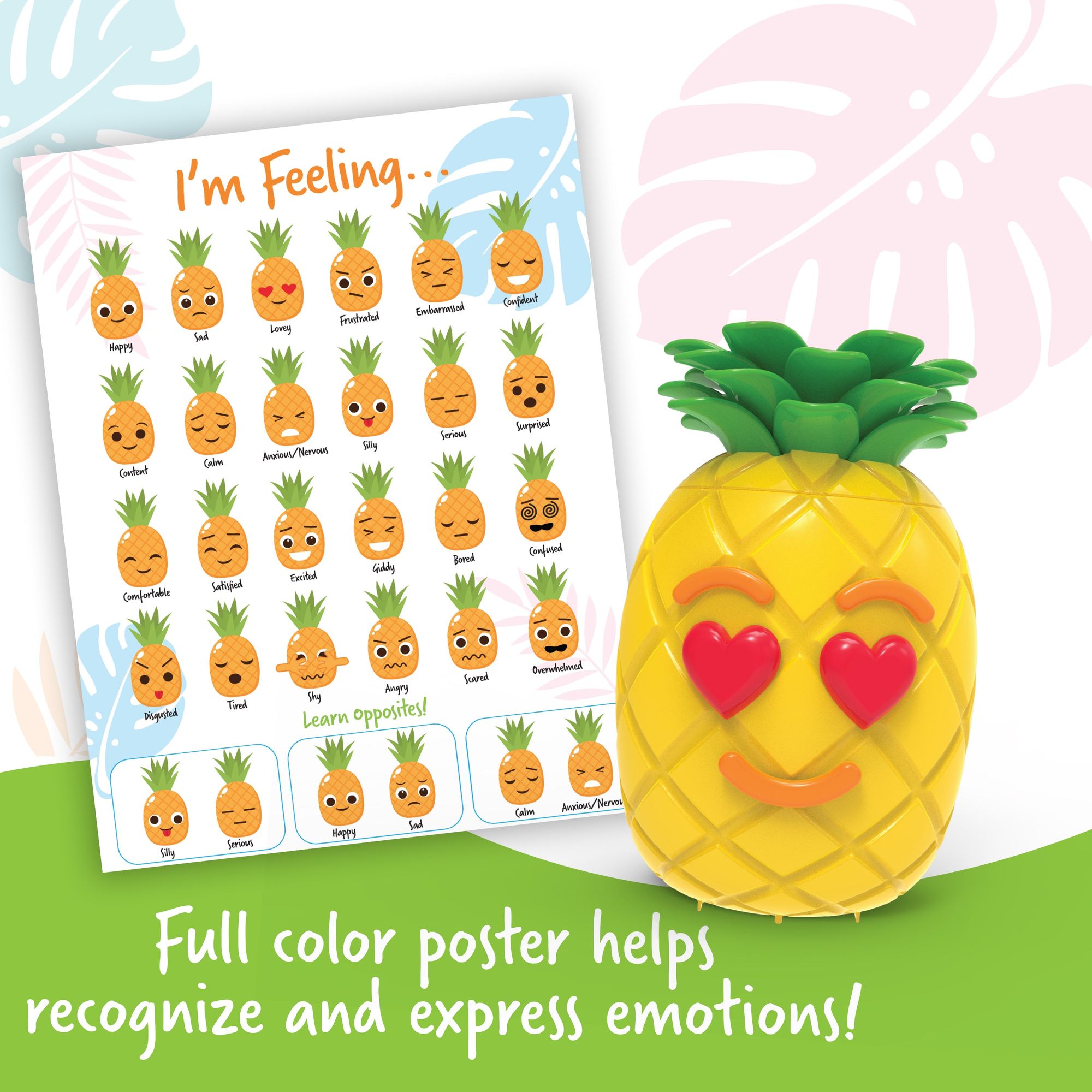 Big Feelings Pineapple™, Learning Resources