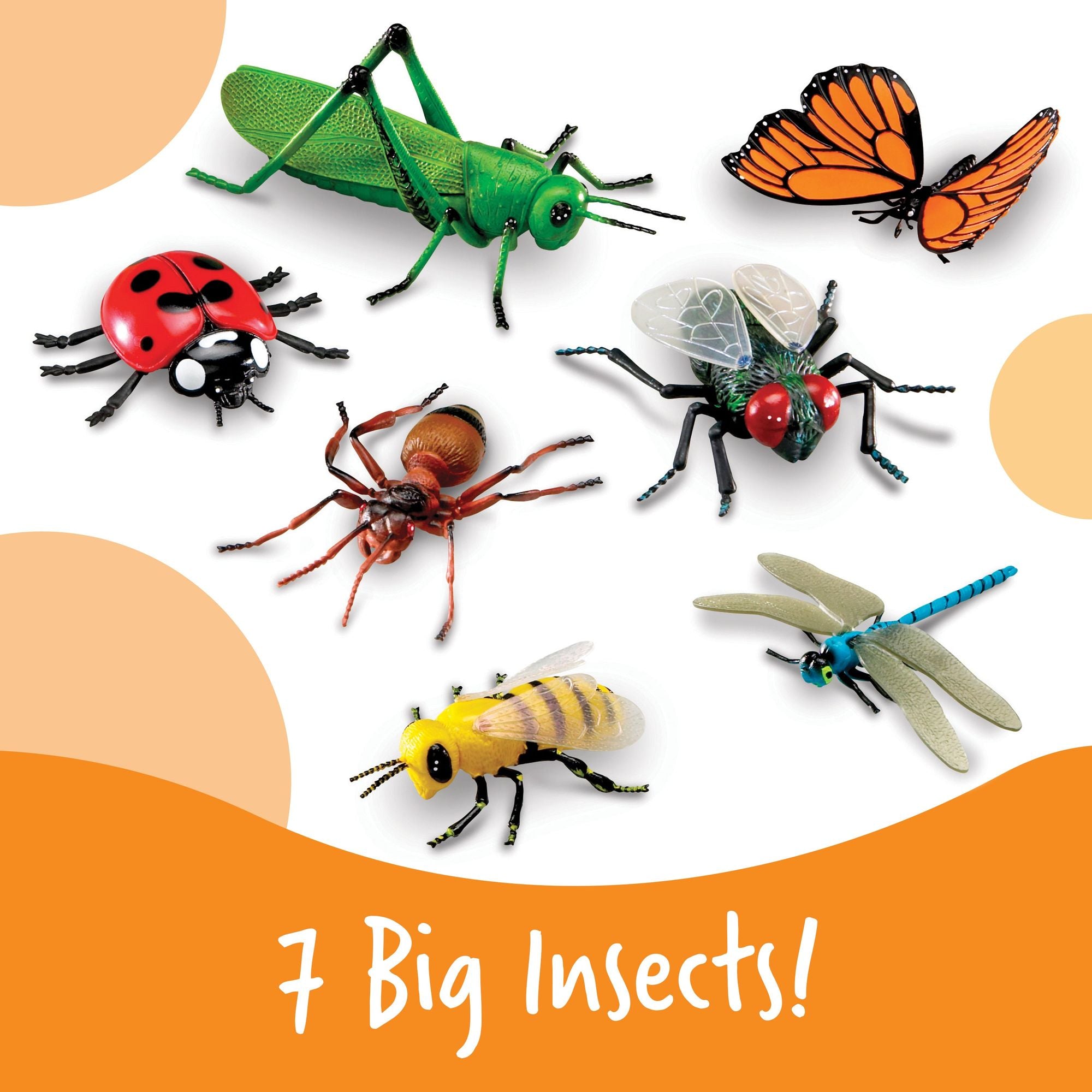 Jumbo Insects, Learning Resources