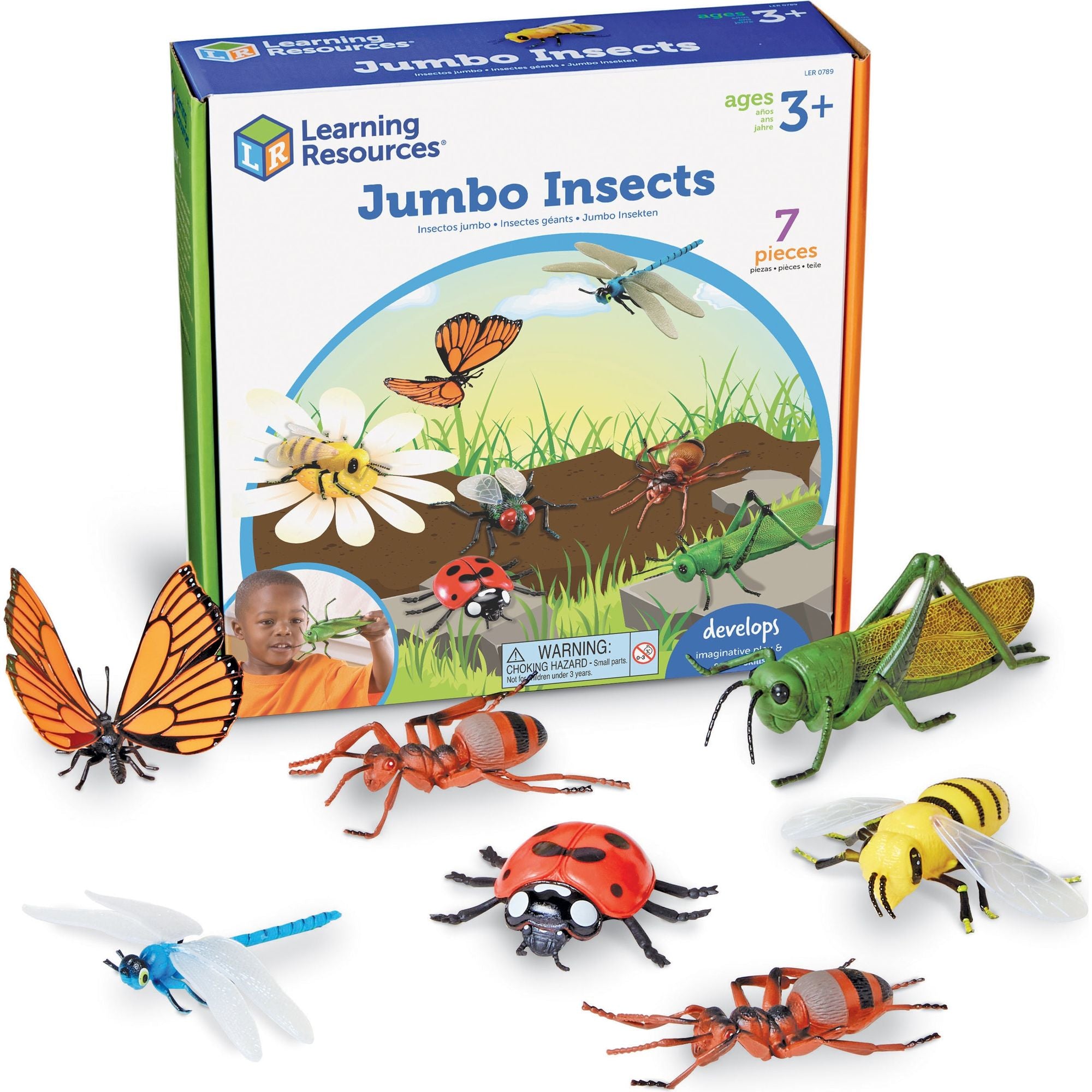 Jumbo Insects, Learning Resources