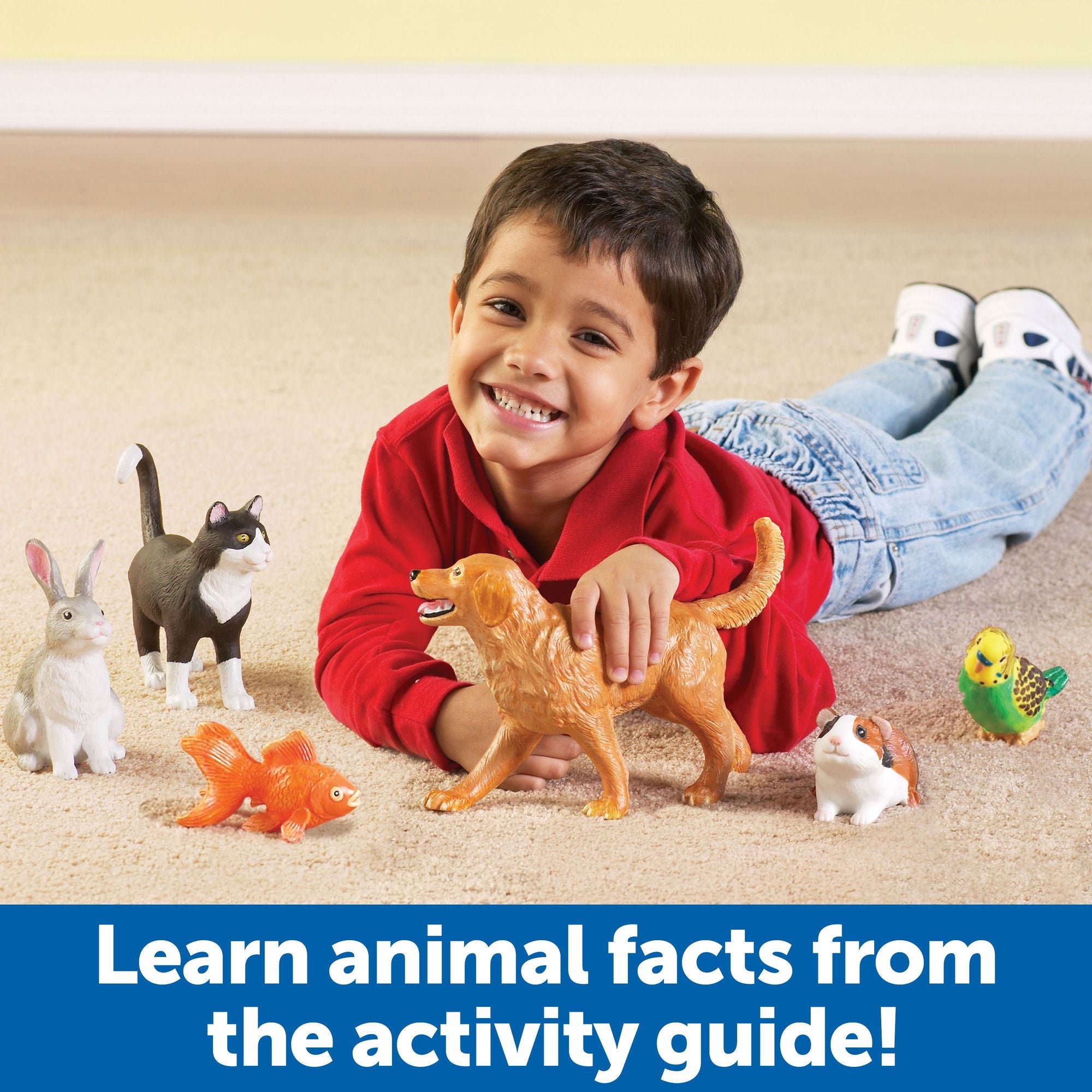 Jumbo Pets, Learning Resources