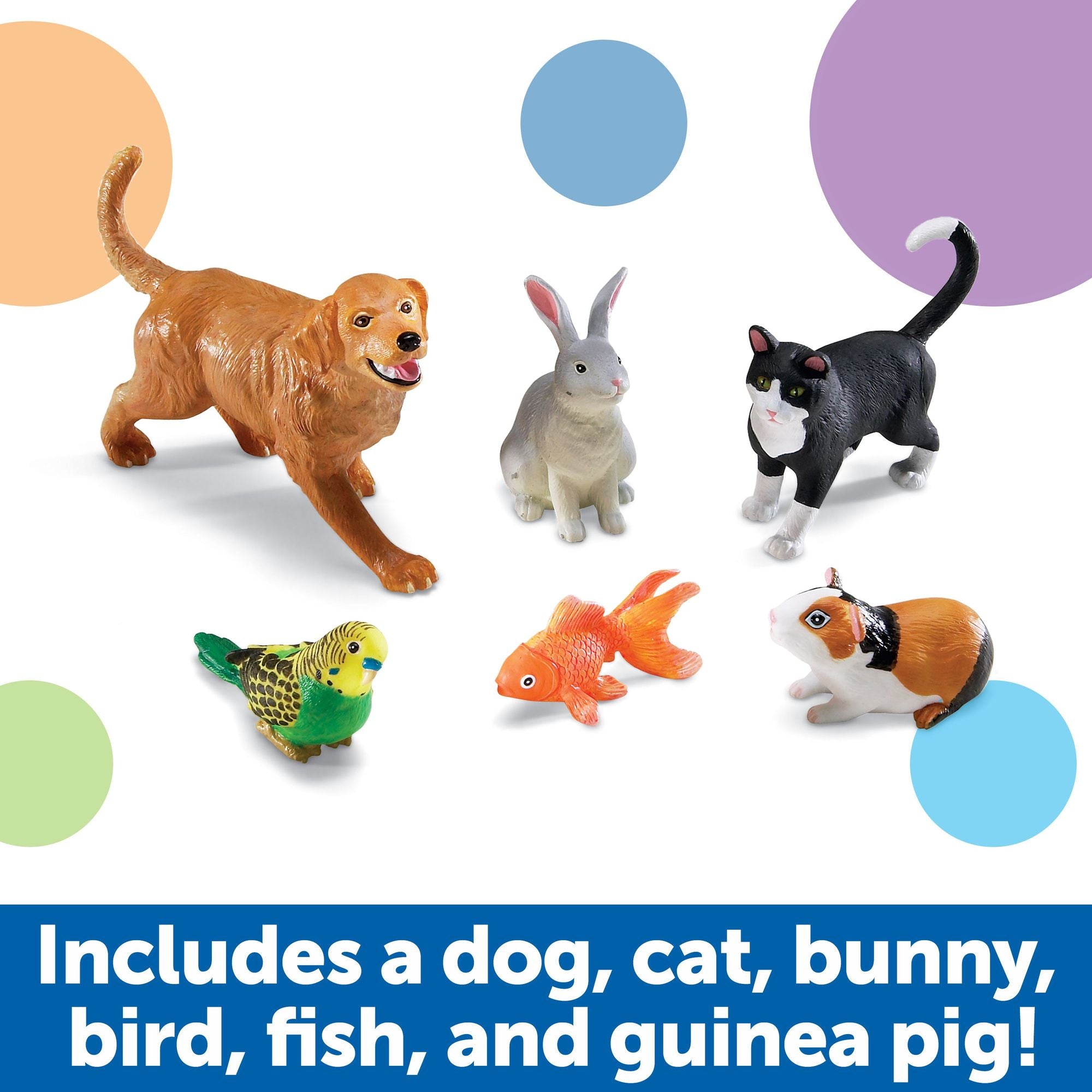 Jumbo Pets, Learning Resources