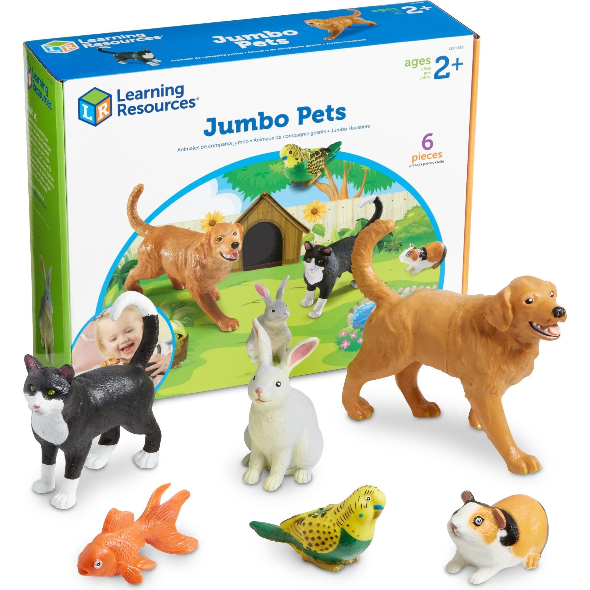 Jumbo Pets, Learning Resources