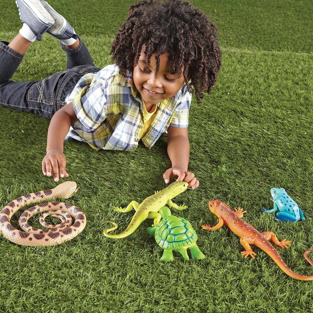 Jumbo Reptiles & Amphibians, Learning Resources