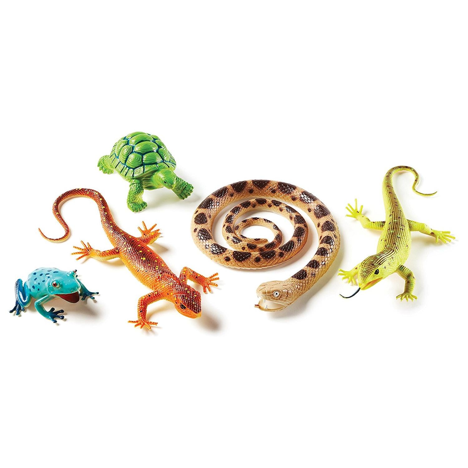 Jumbo Reptiles & Amphibians, Learning Resources