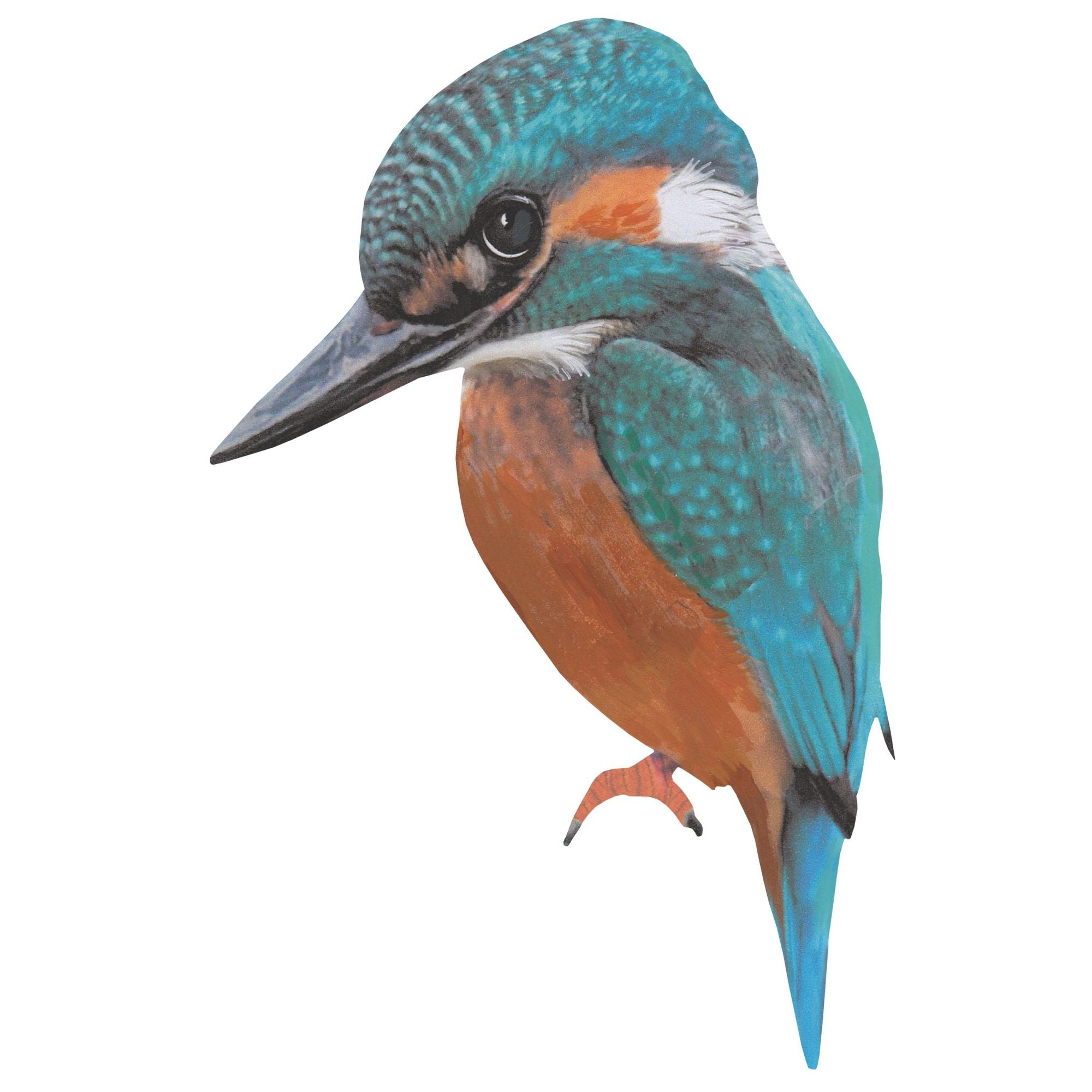 Muursticker ijsvogel Bella, Sticky Tales