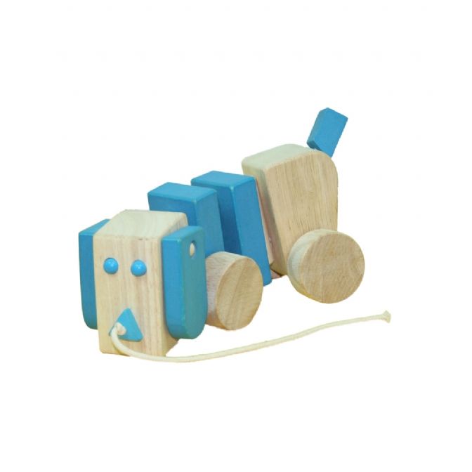 Snuffelhond blauw, Primi Passi