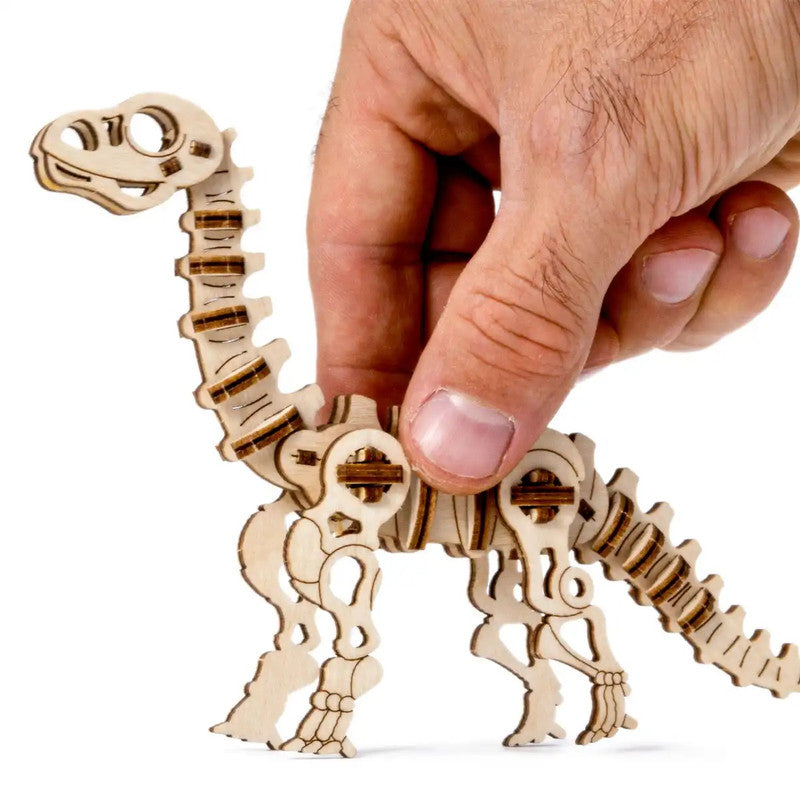 Diplodocus, Wooden City